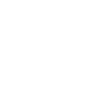White logo